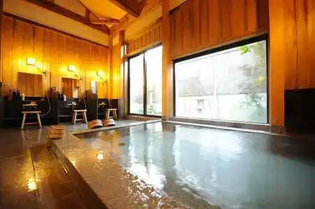 Ryotei Ryokan Yasui - 8
