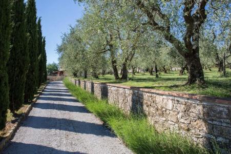 Agriturismo Borghetto Il Montino - 12