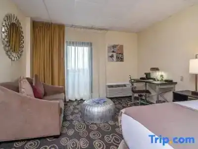 Regency Miami Airport - 70
