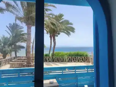 El Primo Dahab - 16