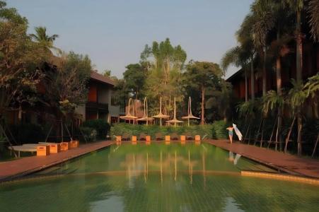 The Buffalo Amphawa - 32