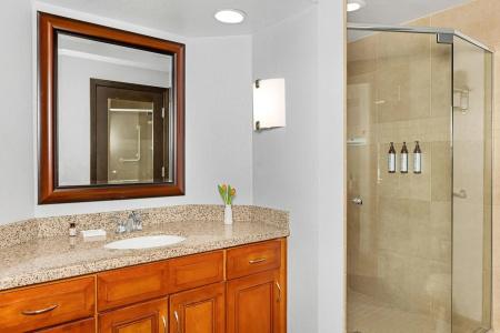Marriott's Desert Springs Villas I - 6