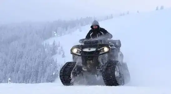 Шелтер - 9