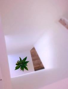 Sanremo Luxury Suites - 13