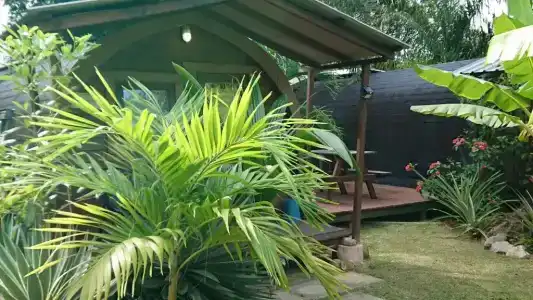 A Peace In Paradise - 48