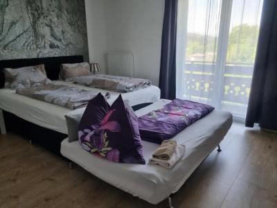 Pension Waldesruh - 18