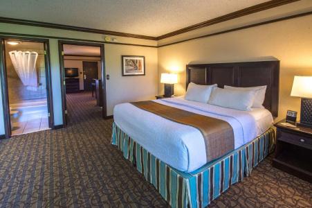 Best Western Inn of the Ozarks - 83