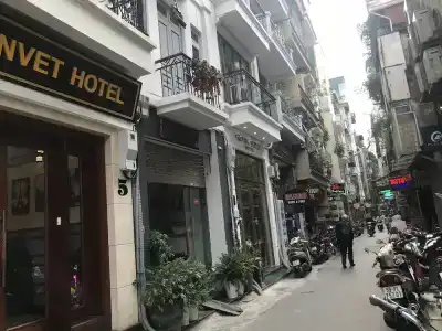 Hanoi Hanvet - 31