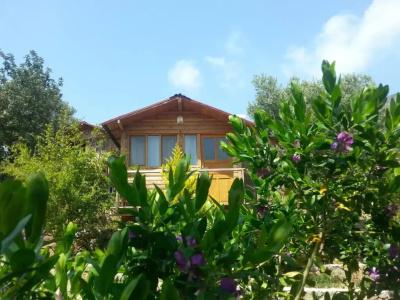 Olive Garden Kabak - 19