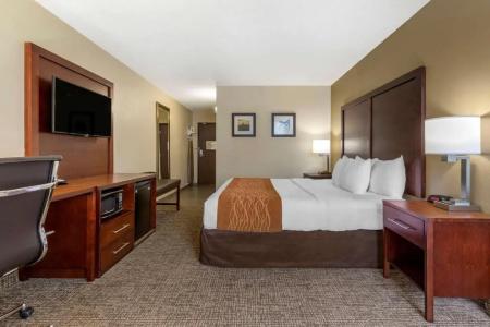 Comfort Inn Charlotte Airport Uptown - 42