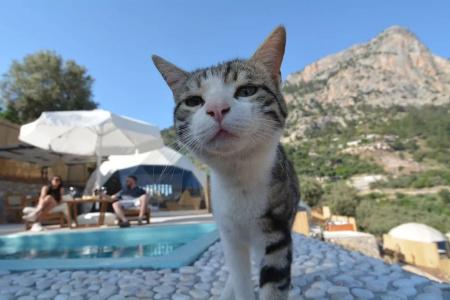 Kabak Freedom - 10