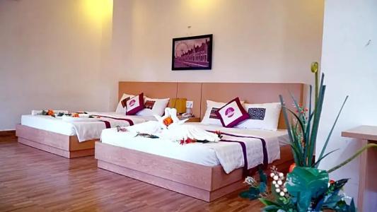 Camellia Resort & Spa - 71