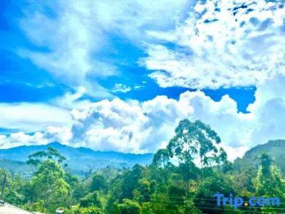 The Ella Nature Life Guest Inn - 75