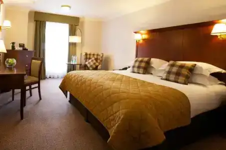 Clayton Ballsbridge - 31