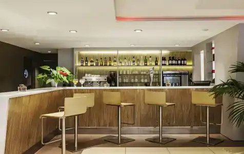 Ibis Cornella - 17