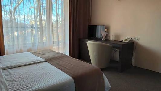 Spa Medicus - 2