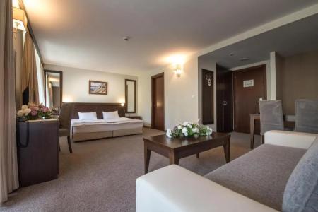 Lion Borovets - 40