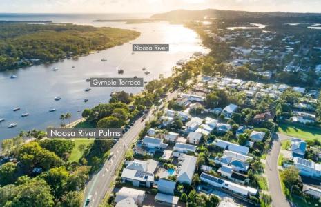 Noosa River Palms - 48