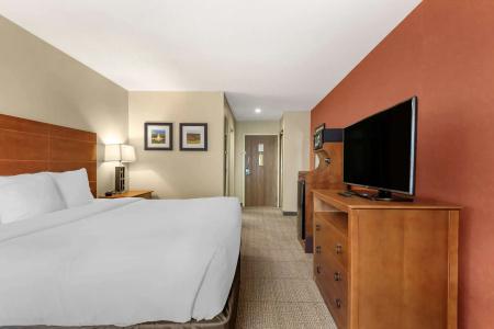 Comfort Inn Civic Center - 39