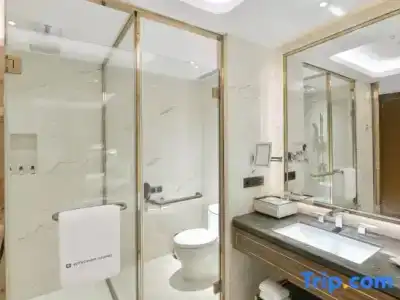 Wyndham Grand Plaza Royale Chongqing - 52
