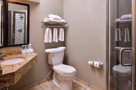 Holiday Inn Expresss & Suites West, An Ihg - 64