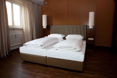 AltstadtGrauer Wolf - 5