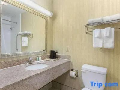 Quality Inn & Suites Oceanside Near Camp Pendleton - 50