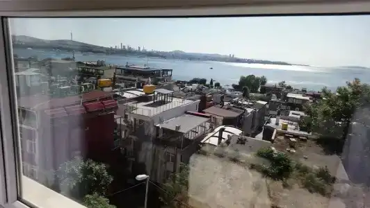 Cosmopolitan Park - 23