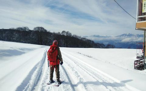 Address Nozawa - 25