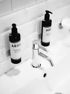 artBlaue Gans - 80