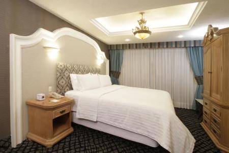 Holiday Inn Queretaro Centro Historico, An Ihg - 178