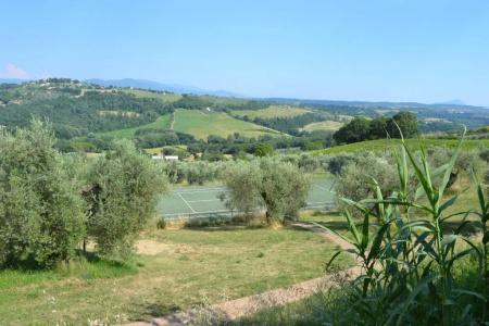 Tenuta Pizzogallo - 72