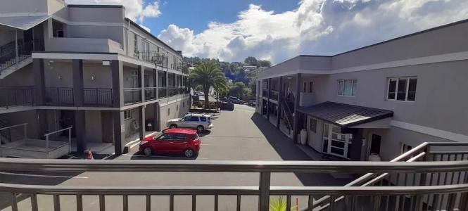 Dunedin Palms - 32