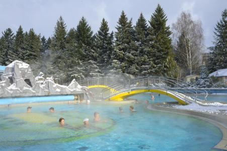Johannesbad ThermalLudwig Thoma - 11