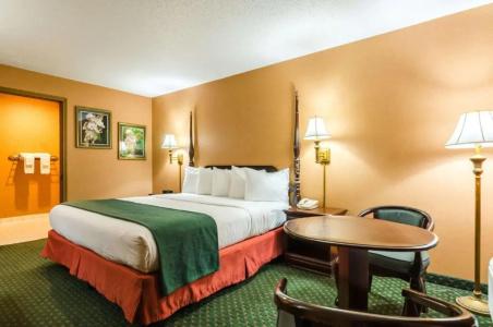 Quality Inn South - 35