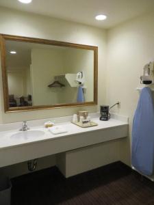 Anaheim Desert Inn & Suites - 9