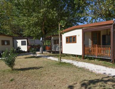 International Family Camping Village Riccione - 4