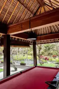 The Ubud Village Resort & Spa - 44