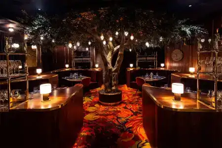 Circa Resort & Casino - Adults Only - 25