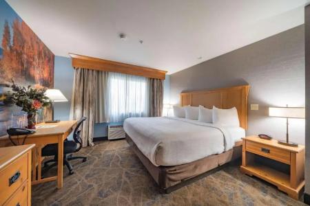 Best Western Plus Grantree Inn - 89