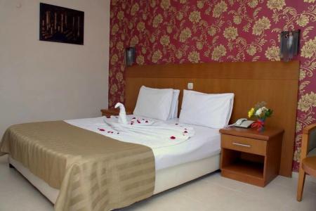 Surtel - 6