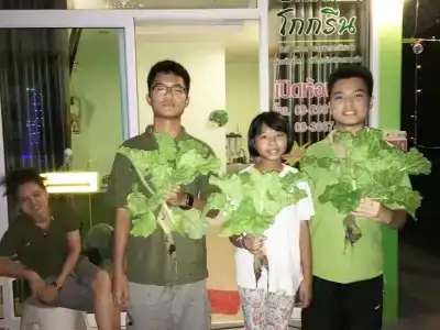 Go Green Resort - 10