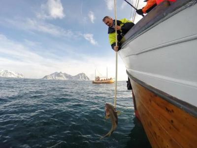 Fast Lofoten - 13
