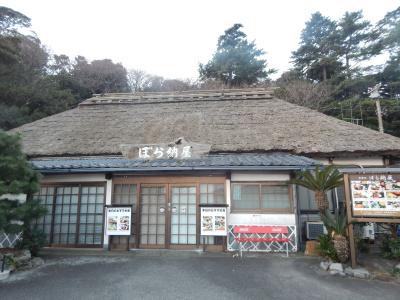 Minamikaikisen - 12
