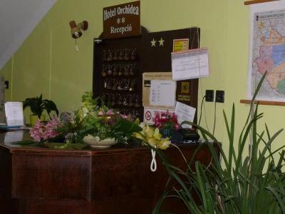 Orchidea - 0
