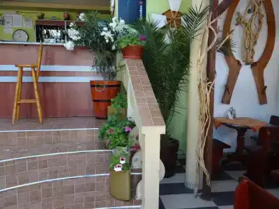Guest House Rosa - 9