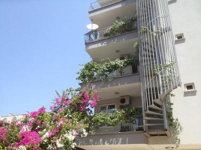 Bayındır Palme - 0