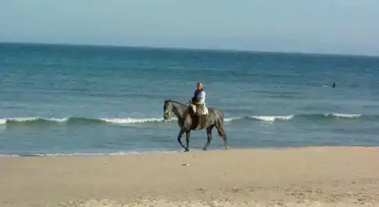 Chillout Tres Mares - 16
