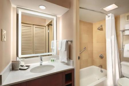 Holiday Inn Austin -Town Lake, An Ihg - 67