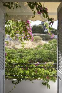 Athens Green - 172
